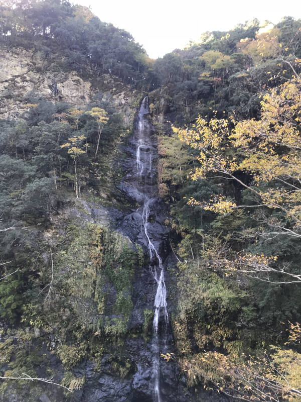 清納の滝 - 周辺の道