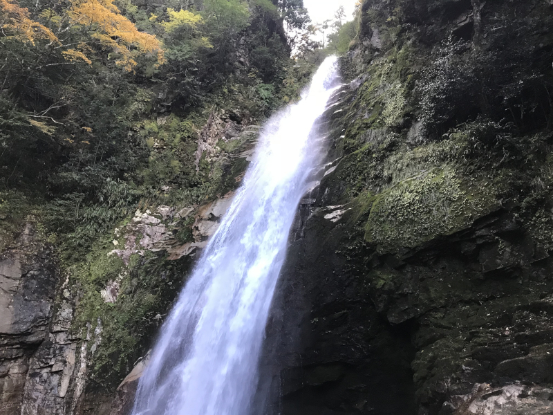 笹の滝