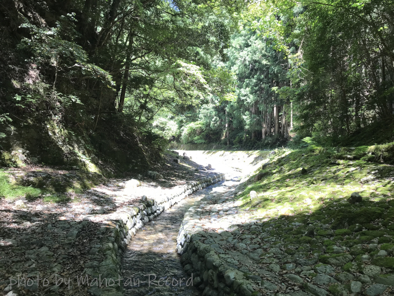 音無川の周り③