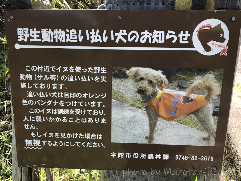 余談 追い払い犬