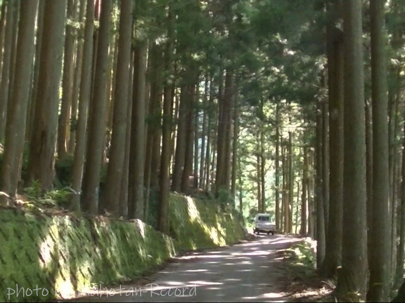 武光橋～足ノ郷峠の道③