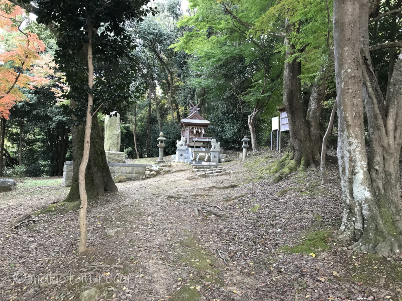 相撲神社　本殿