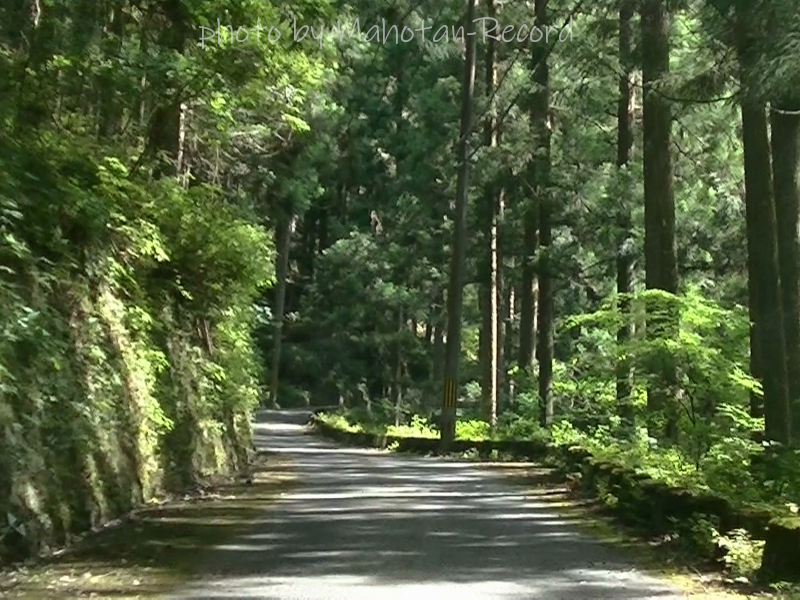 御船の滝までの道①